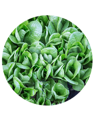 greens.png